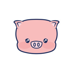 cute piggy animal baby