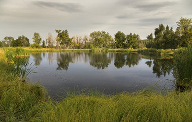 Rocky Mountain Foothills Grassland Landscape and Prairie Tarn in Fish Creek Provincial Park in South Calgary, Alberta, Canada
