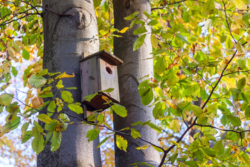 birdhouse on tree