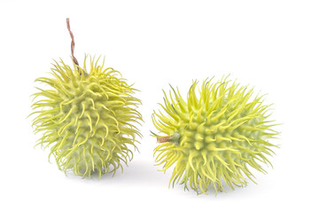 cackrey (Cucumis anguria), also known as maroon cucumber, West Indian gherkin and West Indian gourd, exotic cucumber