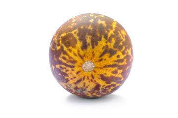 Tigger Melon (Cucumis melo "Queen Anne's Pocket"), ornamental exotic cucumber