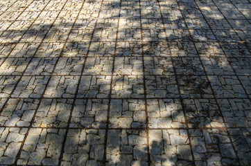 paving slab