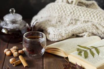 Obraz na płótnie Canvas Tea in glass cup with teapot and knitted blanket near, with cinnamon sticks and hazelnut at wood background, with spoon and strainer near.