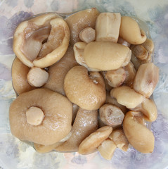 pickled white mushroom
