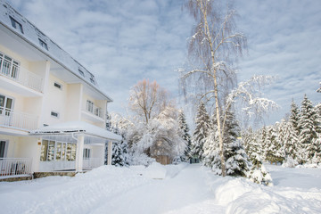 Snow-covered landscape with trees and blue sky, Russian winter.