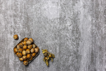 Composition of hazelnuts at gray background. Nuts on tray.