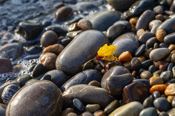pebbles on the beach