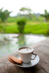 Cup of cappuccino with cookie on background with green leaves and pond. Beautiful tropical greenery, hipster and rustic vibes. Copy-space for your text. Side view.