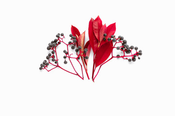 Collection of different autumn plants and leaves. Red and purple colors. Isolated on white background fall themed pattern. Faded shadows, minimalistic clean style. Design for social media posts