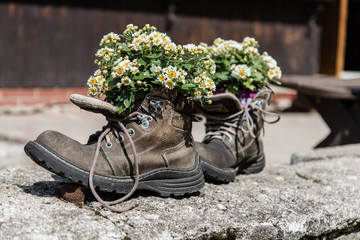 Kwiaty w butach