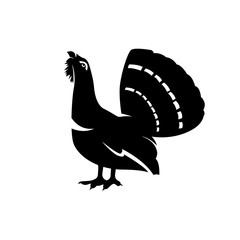 capercaillie vector silhouette