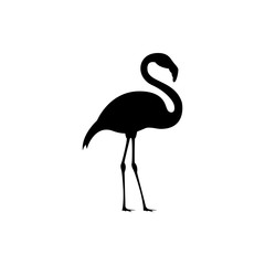 Fototapeta premium flamingo vector silhouette