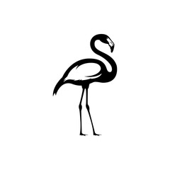 Fototapeta premium flamingo vector silhouette