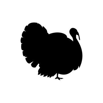 turkey bird vector silhouette