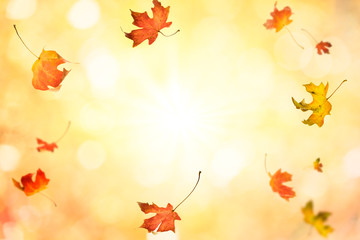 Naklejka na ściany i meble Falling leaves autumn background