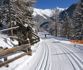Langlaufen Winterzauber