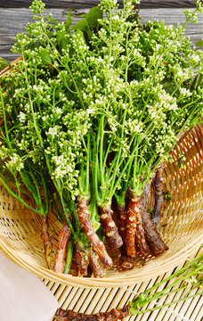 Health Benefits of Neem flower or  Indian Lilac homoeopathic medicines and Kills Head Lice.
Azadirachta indica flower in basket on wooden background.