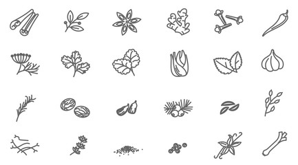 Thin line spices vector icon set.
