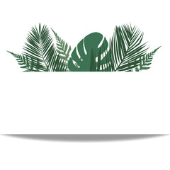 Tropical leaves frond frame vector illustration. Border green plant leaves decoration on white background. Detailed bracken fern drawing, palm leaves, monstera, tropical forest herbs, card border.