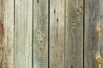 texture of a wall from old wooden boards with knots