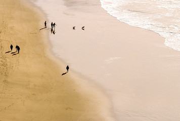 Silhouetted People Walking on a Beach, Playing with a Dog
