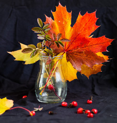 Autumn leaves in a glass jar on a black background