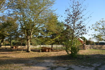 Bouaye - Domaine du Château de la Mévellière - Aire de jeux enfants