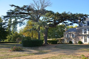 Bouaye - Château de la Mévellière