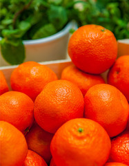 Crate Filled with Bright Orange California Clementines