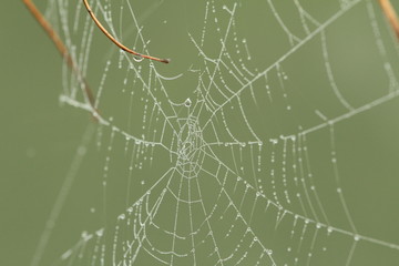 l'eau dans la toile - 02