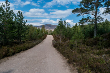 Breathtaking rural mountain landscape with countryside Could be used for inspirational Loch Morlich, Scotland. The Cairngorm mountains in the background.
