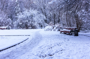 Benches in the winter city park. Filled up with snow. Snow covered trees.