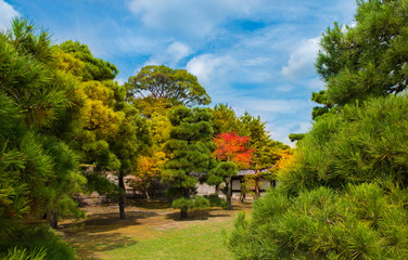 Fototapeta na wymiar Ninomaru Garden in Nijo Castle Kyoto, Japan