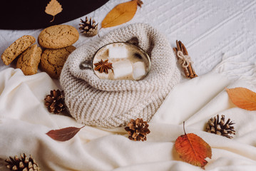 Autumn and Winter composition. Hot coffee with marshmallows, scarf, cookies, bumps and autumn leaves. Flat lay, top view