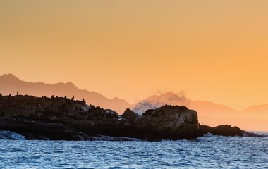 Fototapeta na wymiar Seascape in the morning. The colony of seals on the island. Red Dawn Sky and Silhouettes of Mountains on the Horizon. South Africa.