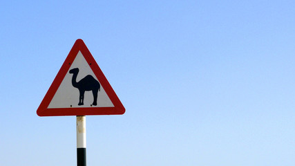 A road sign warns of the danger of wild camels in Oman's southern Dhofar region, near Salalah