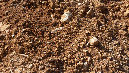 Top view of red soil earth background, mars seamless natural background