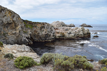 Point Lobos, CA coast views and Bird Island
