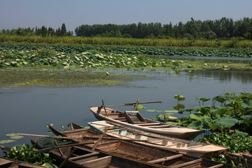 Natural scenery of dongting lake in China