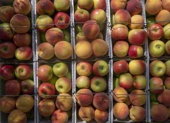 farmers-market-2018-09-19-23245.rw2