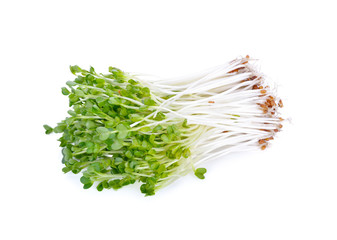 pile of fresh radish sprouts or Kaiware Daikon on white background