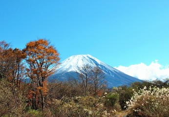 冠雪の富士山と秋の紅葉、日本、世界自然遺産