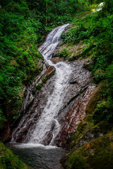 Naklejka premium waterfall in forest