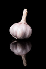 Garlic on black background