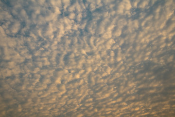 Deep blue sky and white cloud background.In the sky with Altocumulus Perlucidus or Stratocumulus Perlucidus Cloud Background.