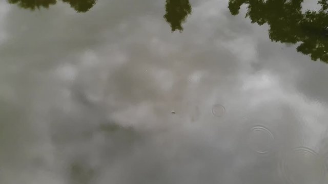Drone footage ascending to aerial view of the San Jacinto River near Houston, Texas with jumping fish