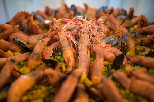 Spanish paeja seafood and shrimp