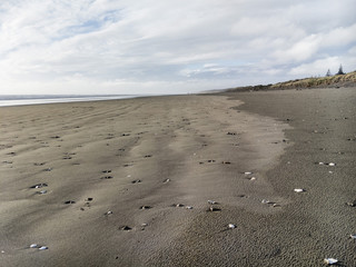 beach horizon texture, gental slope, scattered shells, contrasting stippled and smooth sand