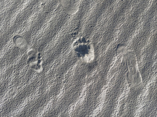 Fototapeta na wymiar bare Foot and shoe step impression in rippling sand