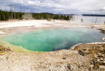 Yellowstone Thermal Feature